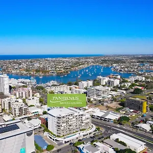 Pandanus Mooloolaba